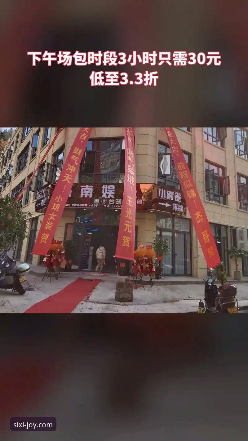 深度揭秘：2026四喜娱乐评价最新版背后的真相与新手必读指南